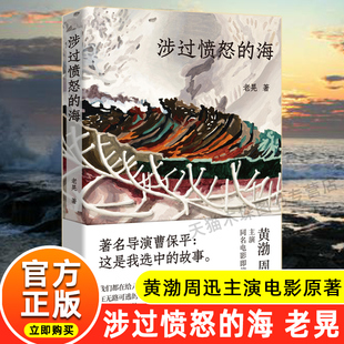 正版 海 涉过愤怒 现货 江苏文艺出版 影视同期书 浮冰 老晃著 鹈鹕小姐三部中篇小说故事 黄渤周迅主演同名电影原著小说 社