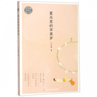 正版 王宜振 书籍 苹果梦 夏天里