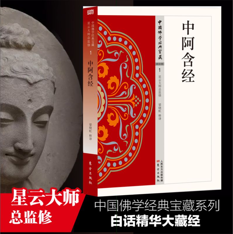 中阿含经 中国佛学经典宝藏 星云大师总监修 白话精华大藏经 佛学读物