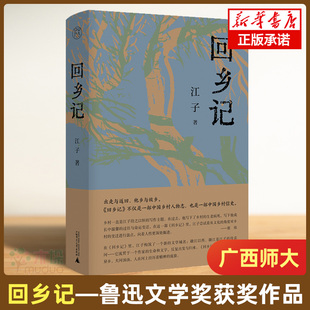 回乡记 江子 著《田园将芜》的续篇 以吉水赣江以西区域的历史与现实为研究对象 全面田野式考察农民进城 广西师范大学出版社