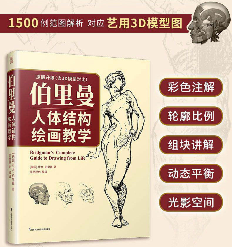 伯里曼人体结构绘画教学 3d模型对比素描基础教程 理解人体形态基础