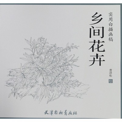 乡间花卉(实用白描画稿)