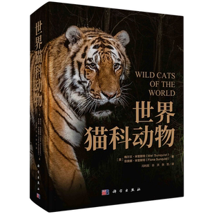 世界猫科动物