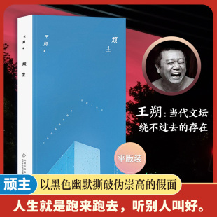 2024年平装 假面 王朔经典 以黑色幽默撕破伪崇高 原著 王朔：顽主
