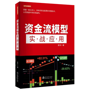 资金流模型实战应用