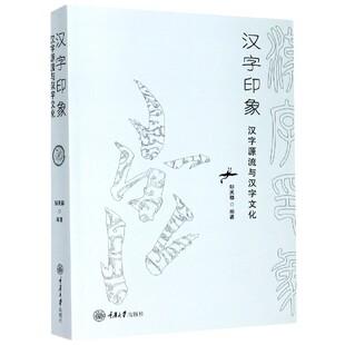 汉字印象 汉字源流与汉字文化
