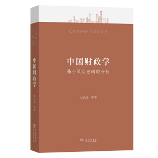 中国财政学：基于风险逻辑 分析