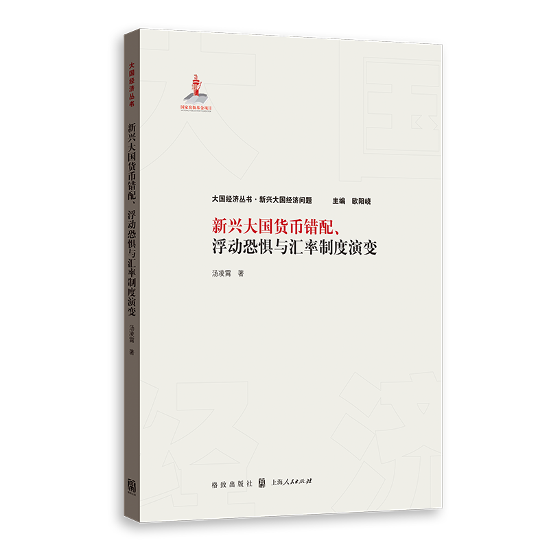 新兴大国货币错配浮动恐惧与汇率制度演变/大国经济丛书
