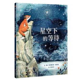 星空下的等待 3-8岁精装绘本一本美丽且深情的绘本诉说着向亲爱的人道别之后生活将如何继续前行生命教育早教启蒙益智绘本