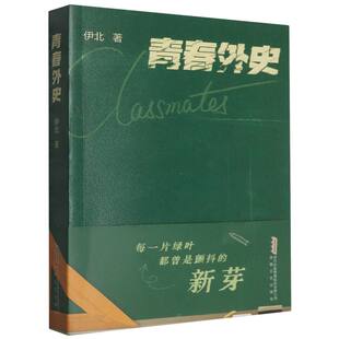 青春外史（央视热播剧《小芳出嫁》编剧伊北新作）