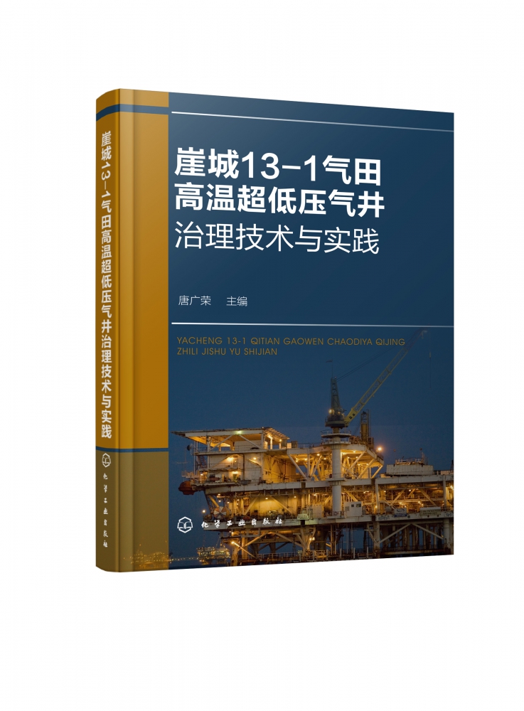 崖城13-1气田高温超低压气井治理技术与实践(精)