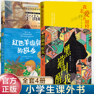 全套4册黑猫叫醒我+ 宇宙最后一本书+红色羊齿草的故乡+我亲爱的甜橙树三四五六年级小学生课外寒暑假阅读正版9-12岁儿童文学小说