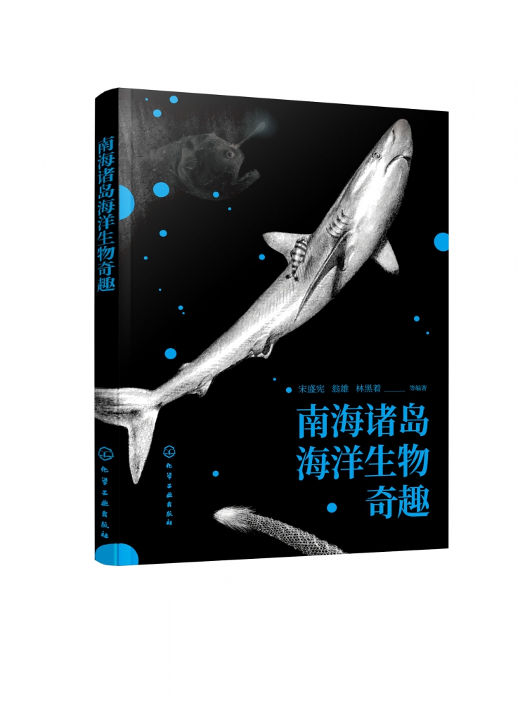 南海诸岛海洋生物奇趣 宋盛宪 南海珊湖礁鱼类贝类棘皮动物爬行动物海洋动植物科普书籍 中小学生课外读物海洋生物百科普类书籍