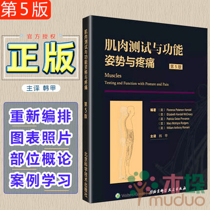肌肉测试与功能--姿势与疼痛 第5版 经典著作 历经50年 提供 覆盖全部肌肉测试方法 纠正性训练姿势头面部颈部躯干等 专业书籍