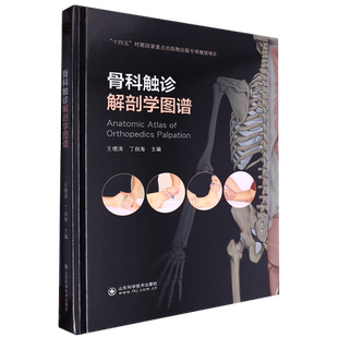 骨科触诊解剖学图谱