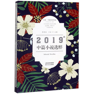 2019年中篇小说选粹 北岳中国文学年选