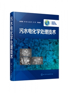 氨氮污染控制技术系列图书 废水电化学处理技术 基本原理 工艺流程 精装 水体污染控制与治理专项成果之一 污水电化学处理技术