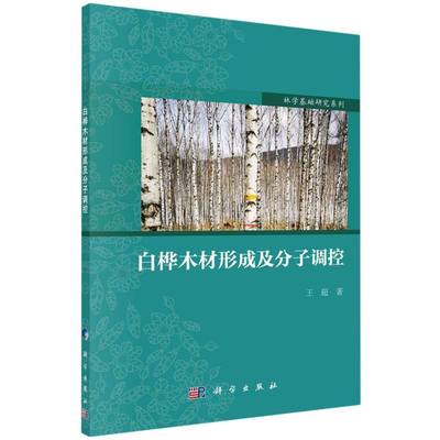 白桦木材形成及分子调控/林学基础研究系列