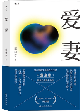 正版  爱妻 台北书展大奖获奖作品 香港标志性作家董启章著作 华语文学 言情小说书籍