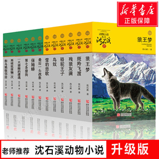 15岁三四五六年级小学生课外阅读书籍正版 狼王梦第七条猎狗斑羚飞渡雪豹悲歌6 包邮 沈石溪动物小说全集系列作品全套12册