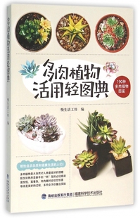 多肉入门书 多肉植物品 多肉植物活用轻图典 多肉植物栽培技术书 图书籍 家庭园艺 新华书店正版