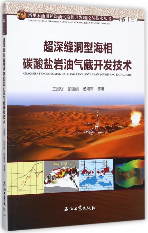 【正版包邮】超深缝洞型海相碳酸盐岩油气藏开发技术/塔里木油田超深油气勘探开发理论与技术丛书