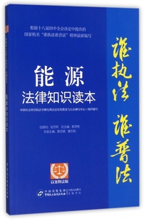 能源法律知识读本 谁执法谁普法 以案释法版
