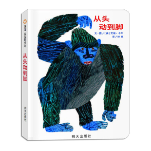 从头动到脚绘本 中文版 from head to toe 儿童启蒙原版书Eric Carle艾瑞卡尔爷爷著作 锻炼身体 儿童幼儿园绘本