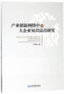 产业创新网络中 大企业知识溢出研究