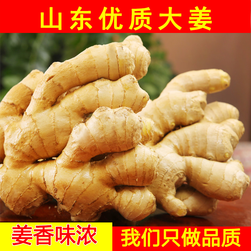 山东大姜优质生姜老姜月子姜风干姜现挖鲜姜新鲜老黄姜无残留包邮