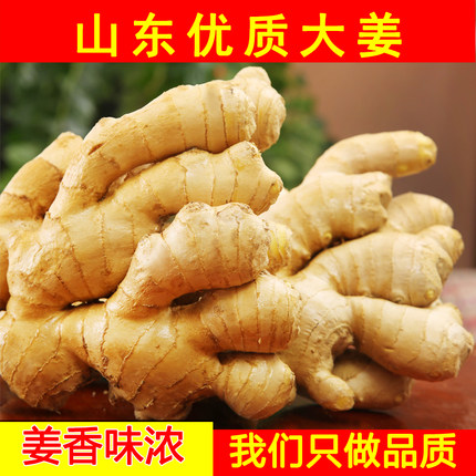 山东大姜优质生姜老姜月子姜风干姜现挖鲜姜新鲜老黄姜无残留包邮