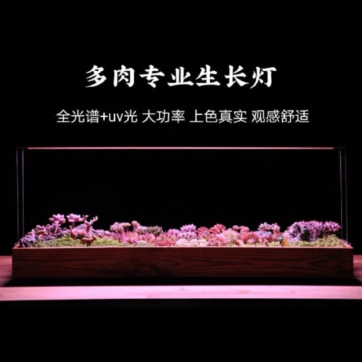 TWIPS特威浦室内多肉植物灯排大功率LED补光UV上色防徒肉锥食虫草