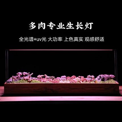 TWIPS特威浦室内多肉植物灯排大功率LED补光UV上色防徒肉锥食虫草