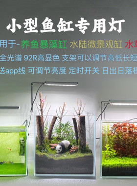 特威浦小型鱼缸暴藻养鱼微景观灯