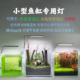 TWIPS小型迷你桌面缸微景观水陆暴藻苔藓水草斗鱼全光谱灯高支架