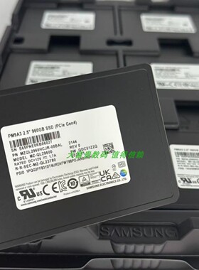 全新 浪潮 960G U2 PCLE 4.0 2.5 PM9A3 三星 MZQL2960HCJR-00BAL