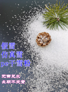 假雪干雪粉橱窗装饰仿真雪