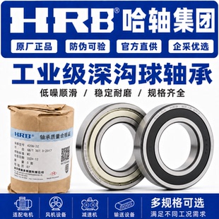 HRB哈尔滨轴承耐酸碱腐蚀6200zz/6201/6202/6203/6204深沟球轴承