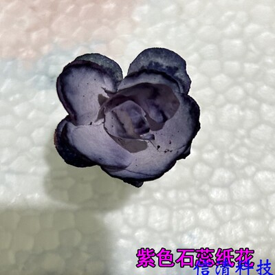 紫色石蕊纸花干燥纸花初中趣味化学实验二氧化碳性质纸花变色实验