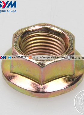 SYM 巡弋300 Z300  RV250 MAXSYM400i  DRG158驱动盘 皮带轮 螺母