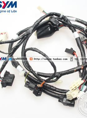 SYM 厦杏 三阳机车 XS125T-21A 20款 悍将sr 全车线路 主线路