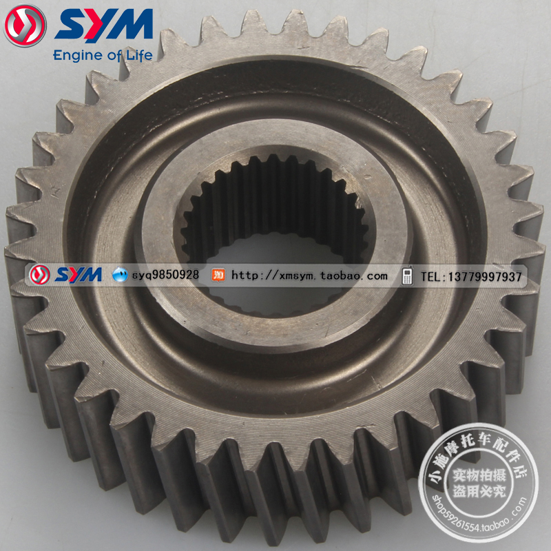 三阳机车九妹Z300最终齿