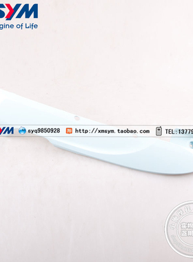 SYM  三阳机车 XS125T-16A FIDDLE Ⅲ 飞度 左边条 左侧盖 浅蓝色