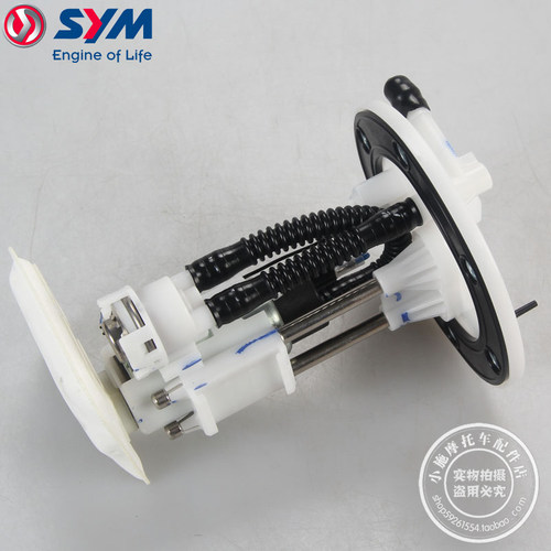 XS125T-10蜂鸟陪妮汽油泵