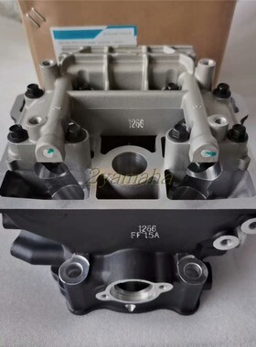 春风250NK气缸盖部件CF250NK250SR气缸头汽缸盖套件