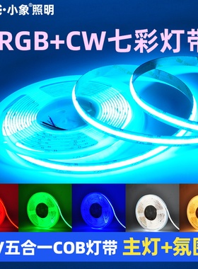 COB灯带rgbw七彩白光双色智能客厅吊顶线形灯rgbcw五合一灯带24v