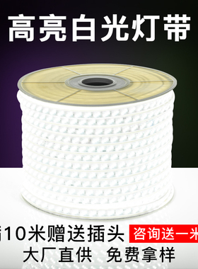 灯带led灯带客厅家用超亮光带七彩变色灯条户外防水180珠线灯220v