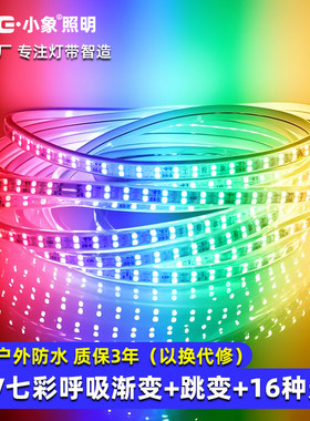 110V灯带led七彩变色小象防水