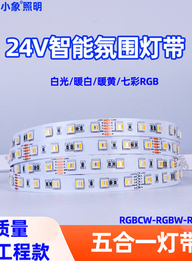 RGBWW七彩灯带RGBCW五合一RGBCCT五路LED氛围防水高亮5050灯条24V