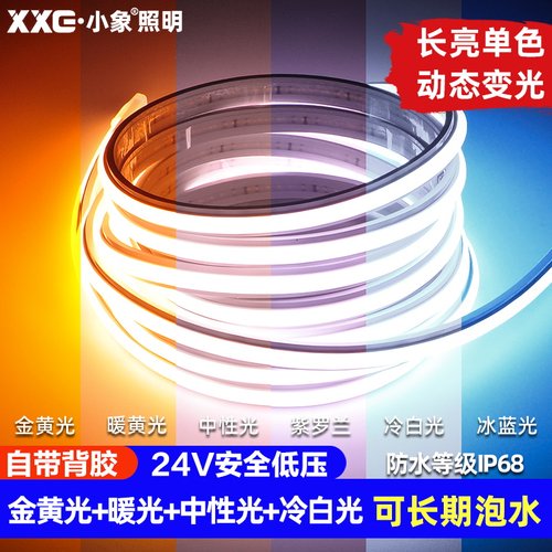 小象24V硅胶防水灯带三色变光